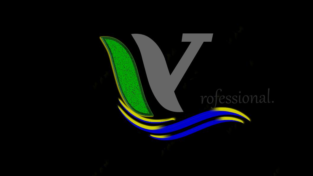 Wajenzi Professional Limited